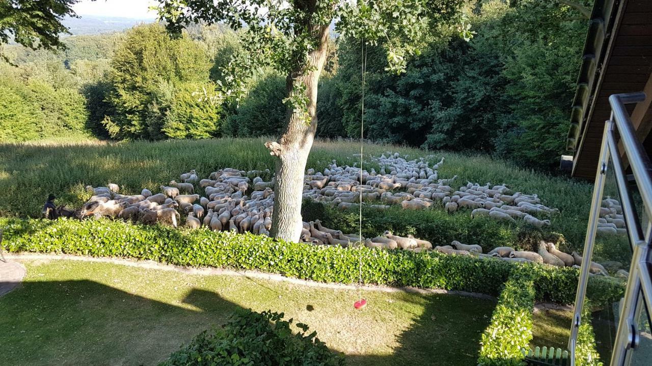 Ferienwohnung "Tecklenburger Augenblicke" Esterno foto
